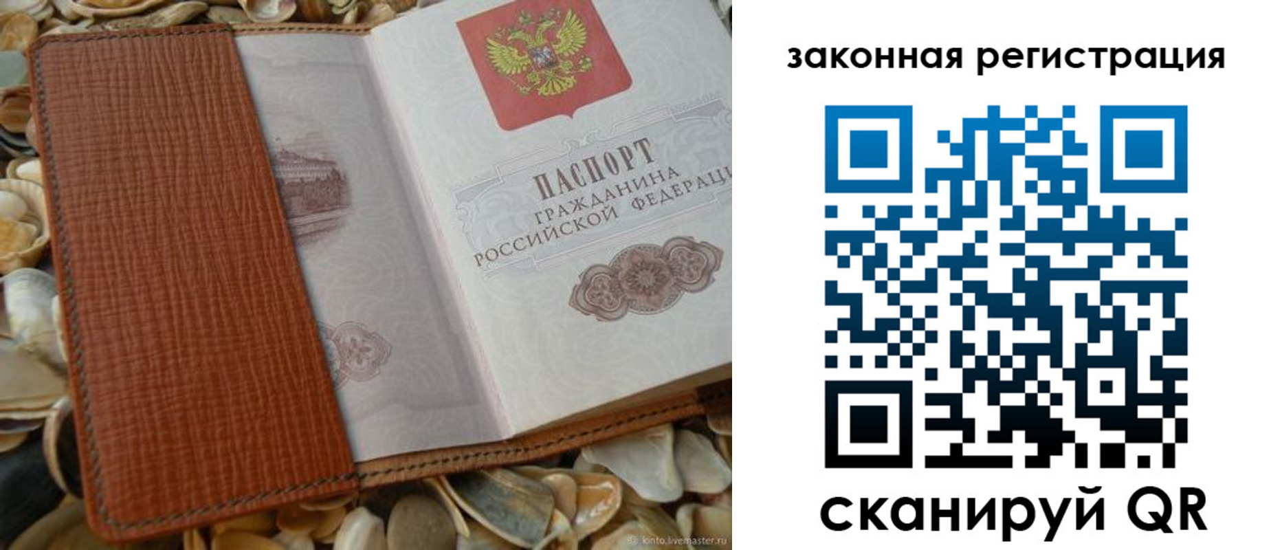 прописка паспорт в Новомосковске